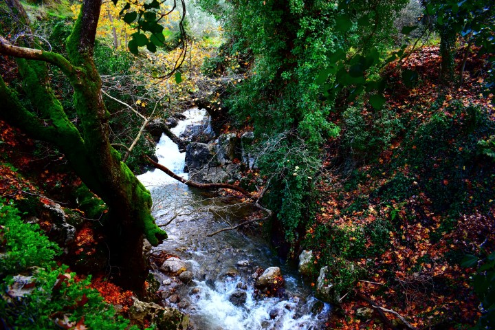 Gorge Of Topolia - Topolia